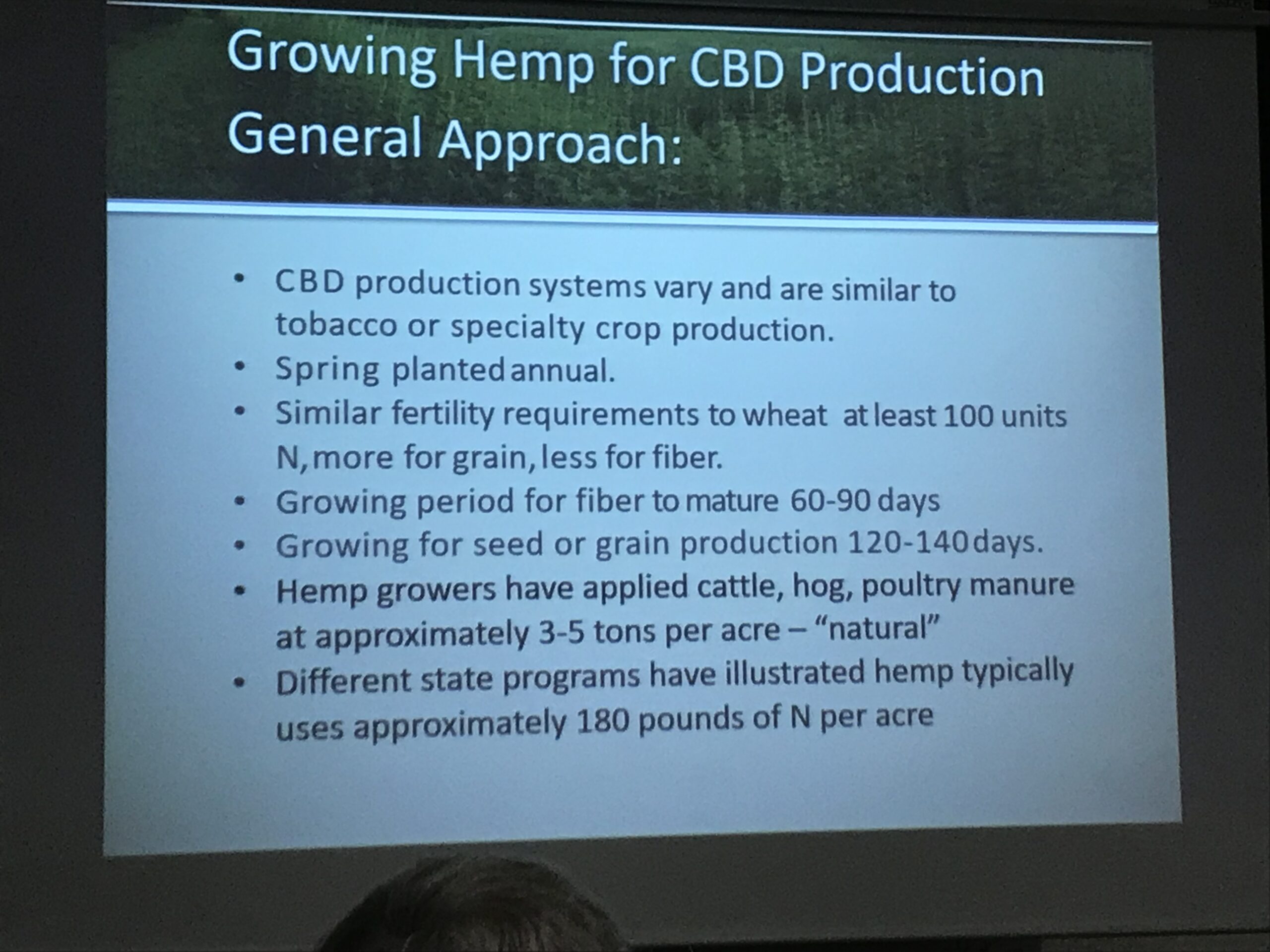 cbd-production-scaled