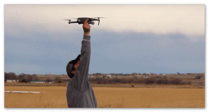 Barn Owl Drone Service Cuts Hemp Labor Cost