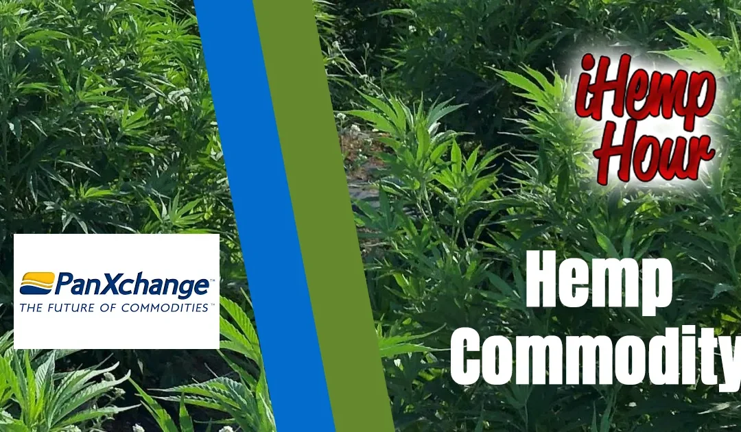 Tom Dermody of PanXchange on the iHemp Hour