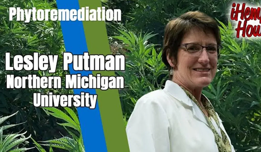 Phytoremediation of soil with Dr. Lesley Putman of Northern Michigan University
