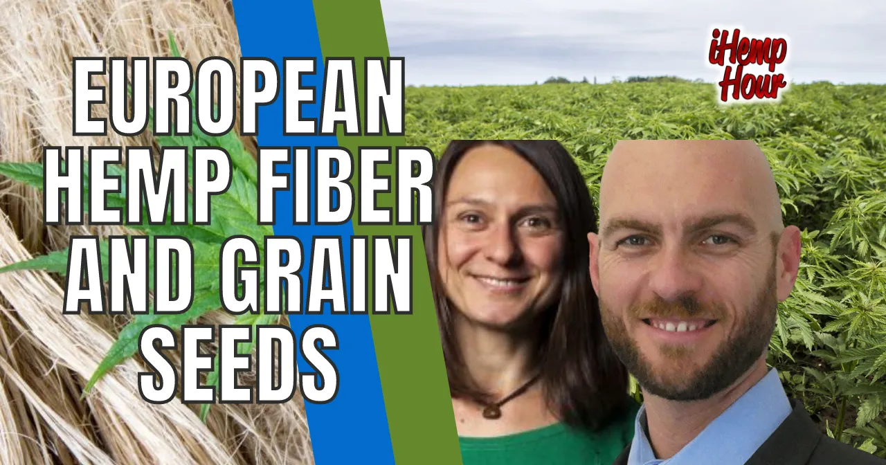 European hemp fiber and grain