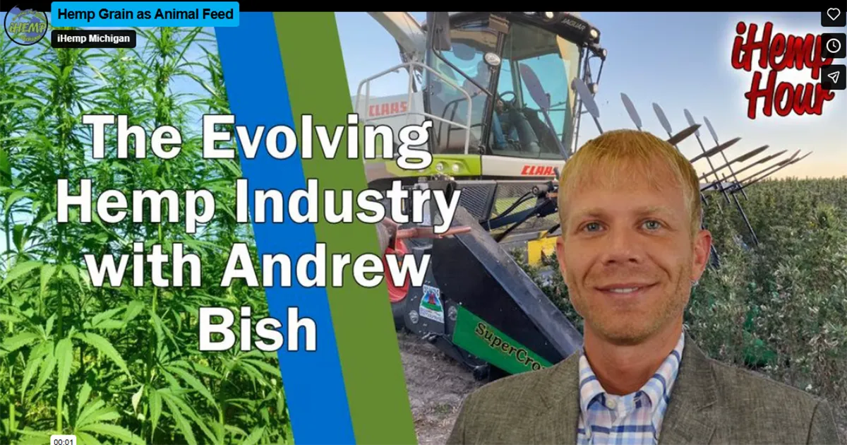 hemp grain andrew bisch