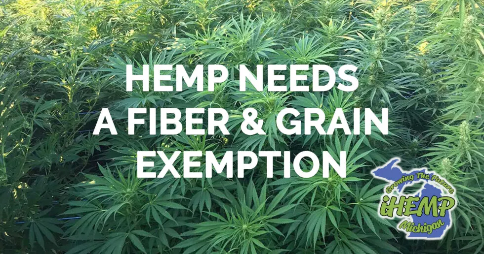 The Hemp Seed Craze: A Nutritional Powerhouse Taking Over the Market!