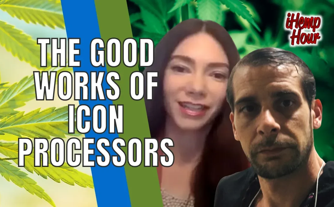 The Good Works of Icon Processors