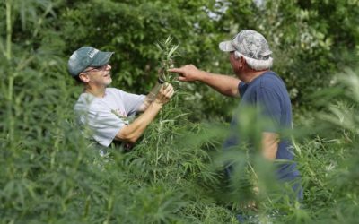 iHemp Founder in the News