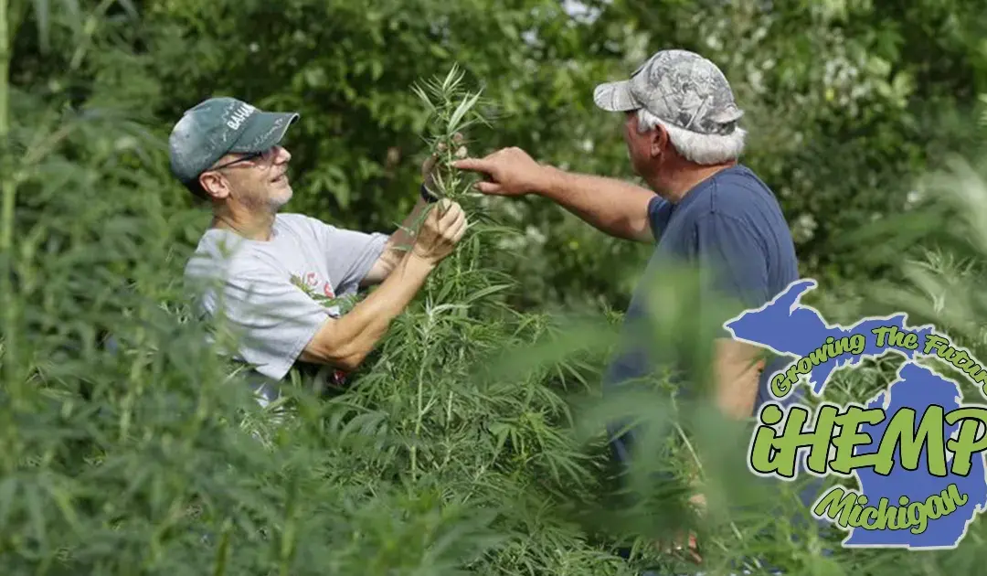 Michigan’s Groundbreaking Hemp Research: Pioneering Pain Management Without Opioids