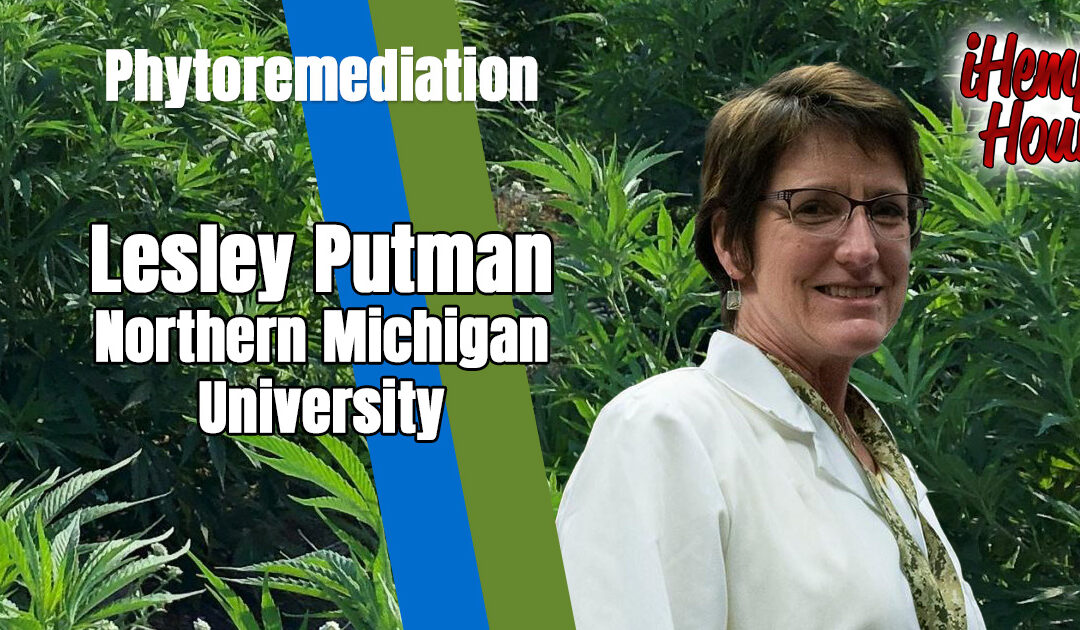 Phytoremediation of soil with Dr. Lesley Putman of Northern Michigan University.