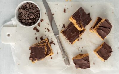 Chocolate-Covered Hemp Seed Protein Bars