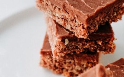 Vegan Chocolate Hemp Fudge