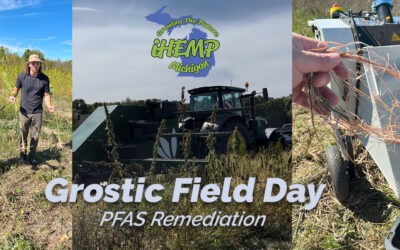 Fighting PFAS with Hemp, Fungi, and Farmers