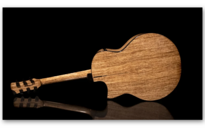 JOI Guitars creates first-ever acoustic guitar from Hemp Wood