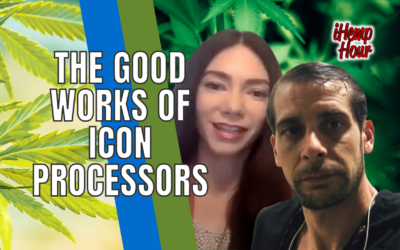 The Good Works of Icon Processors