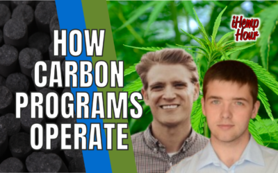How Carbon Programs Operate