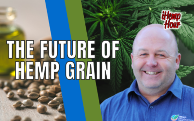 The Future of Hemp Grain
