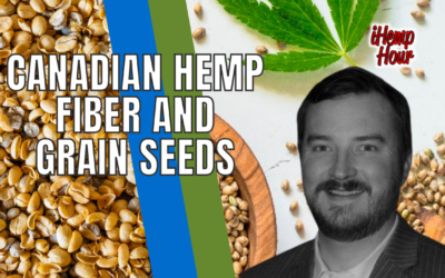 Canadian Hemp Fiber and Grain Seeds