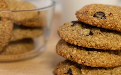 Chia Hemp Seed Oatmeal Cookies