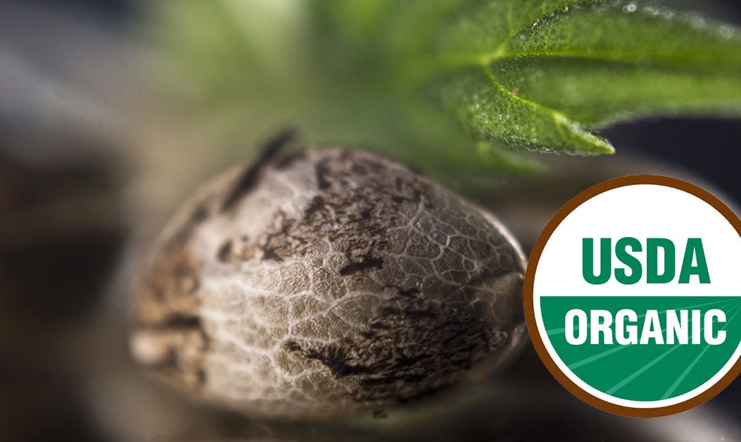 USDA Issues First Certification for Organic Hemp