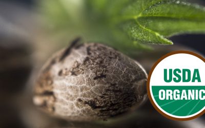 USDA Issues First Certification for Organic Hemp